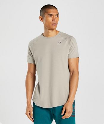 Gymshark Bold Muške T Shirts Sive | HR 2425CTV